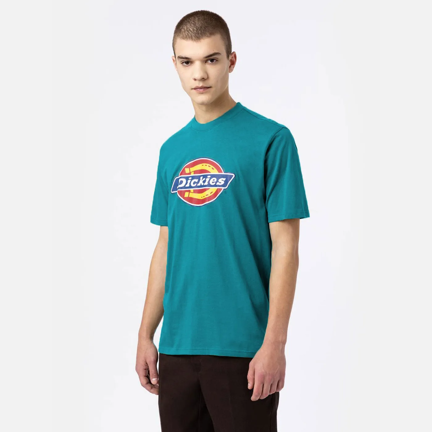 Dickies T-Shirt Icon Logo Graphic  Green