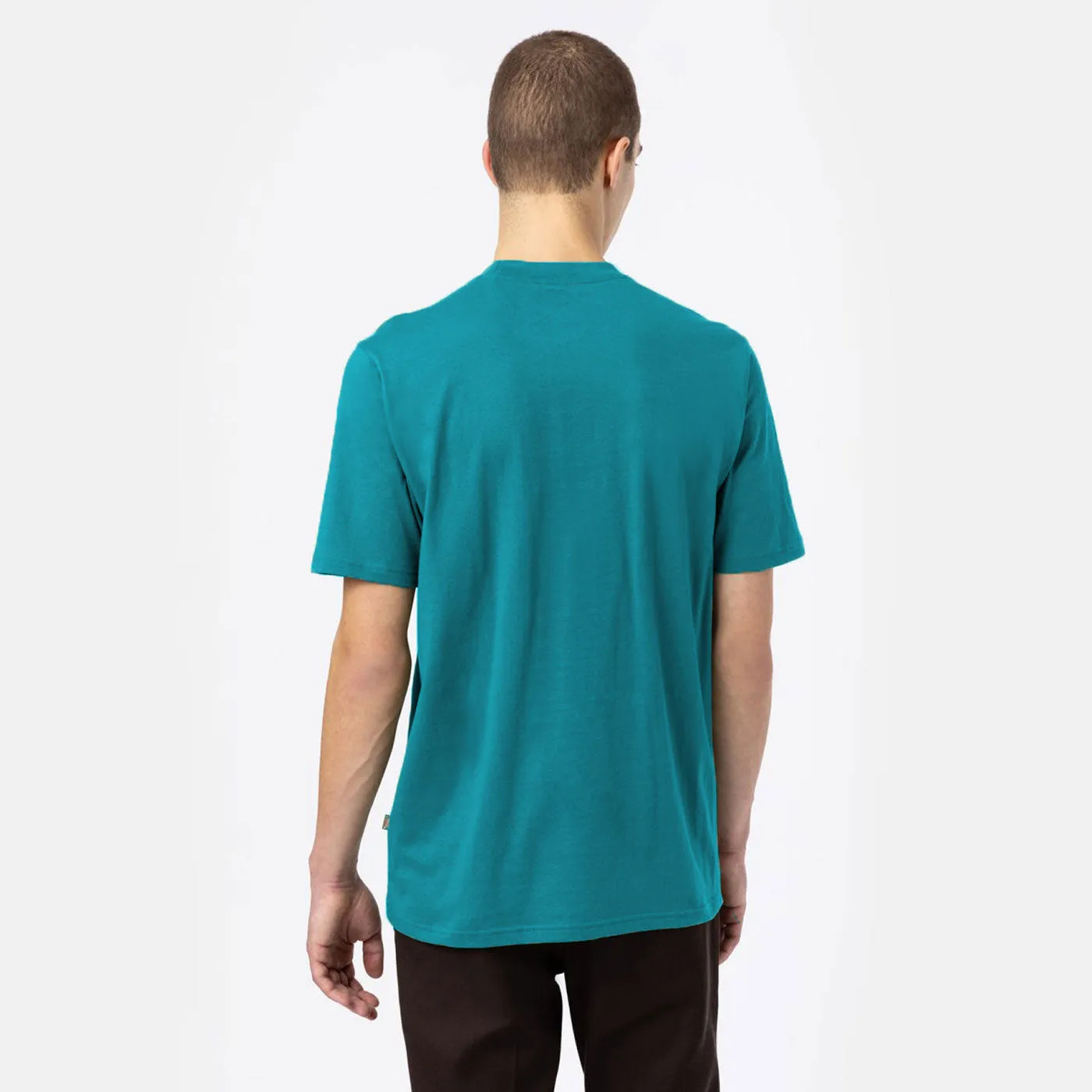 Dickies T-Shirt Icon Logo Graphic  Green